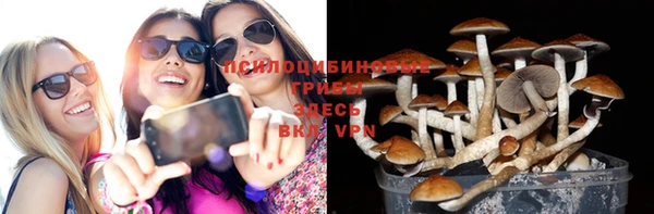 МДПВ Медвежьегорск