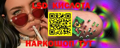 амф Заволжье