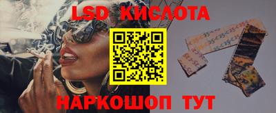 амф Заволжье