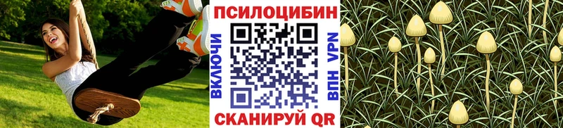 Псилоцибиновые грибы Cubensis  Шарыпово 